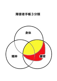 手帳3分類.jpg
