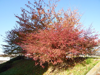 P1010418.JPG