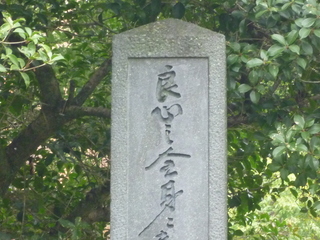 P1010421.JPG