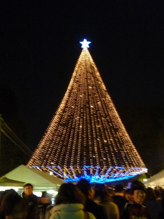 P1010427.jpg