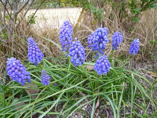 P1010601.JPG