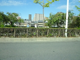 P1010838.JPG