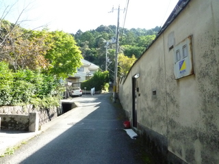 P1010851.JPG
