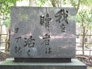P1010862.JPG