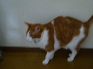 P1010503.JPG